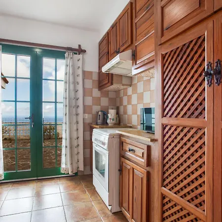 Dragos Y Volcan * Tacoronte