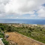 Dragos Y Volcan Tacoronte