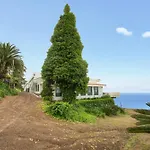 Dragos Y Volcan Tacoronte