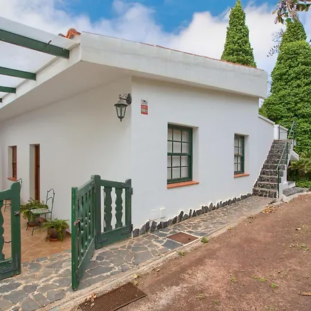 Dragos Y Volcan * Tacoronte