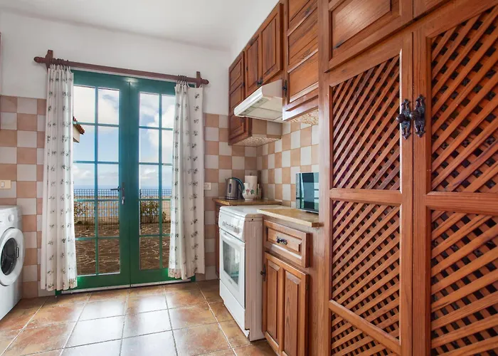 Dragos Y Volcan * Tacoronte