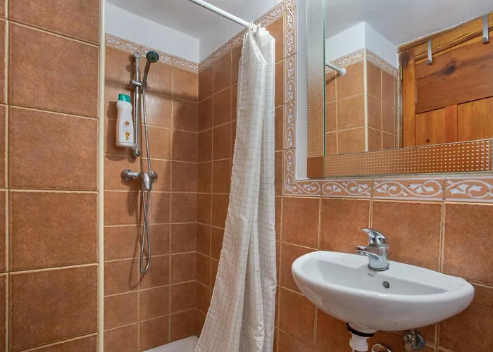 Dragos Y Volcan Tacoronte