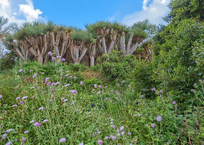 Dragos Y Volcan Holiday home *