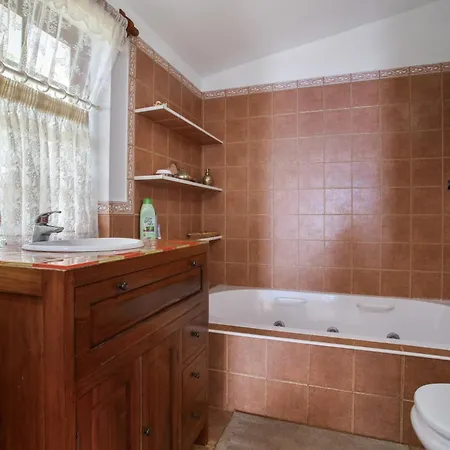 Dragos Y Volcan Tacoronte