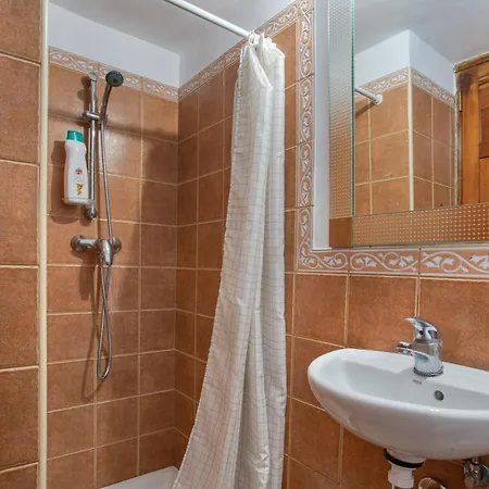 Dragos Y Volcan Tacoronte